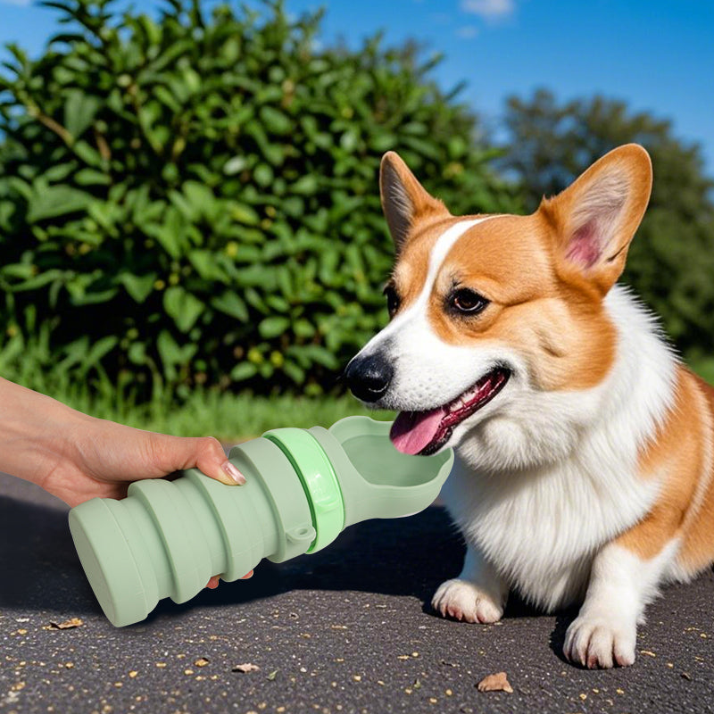 Portable silicone dog water bottle