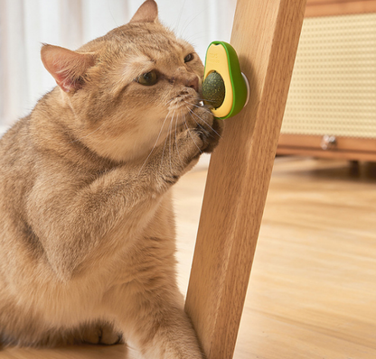 Cute Avocado Squeaky Pet Toy UAE – Soft Toy for Cats & Small Dogs