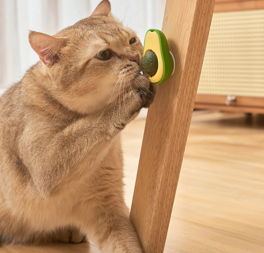 Cute Avocado Pet Toy