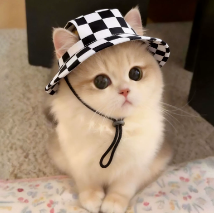 Dog & Cat Tie-Dye Bucket Hat