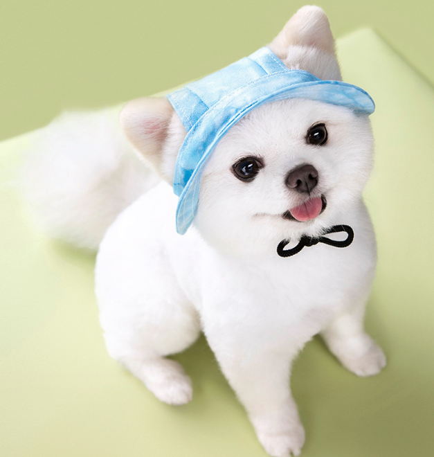 Dog & Cat Tie-Dye Bucket Hat