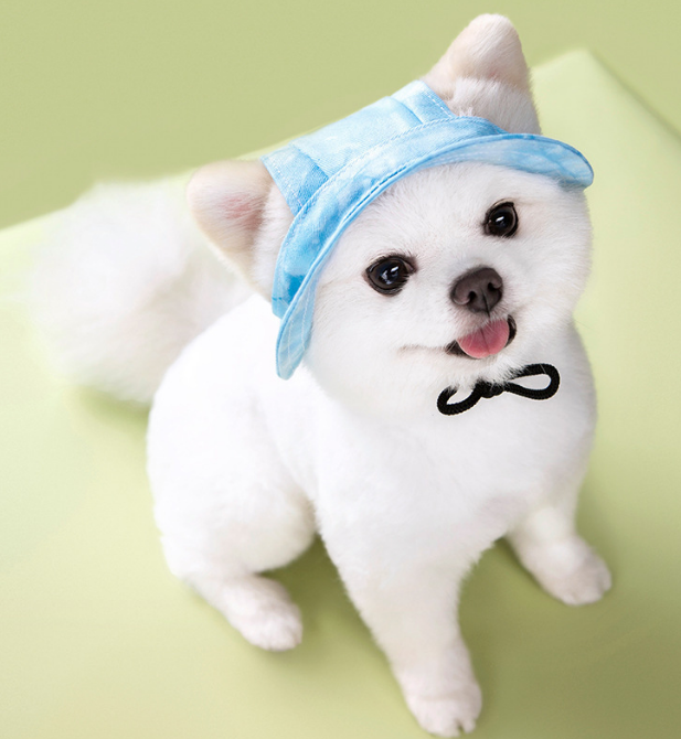 Dog & Cat Tie-Dye Bucket Hat