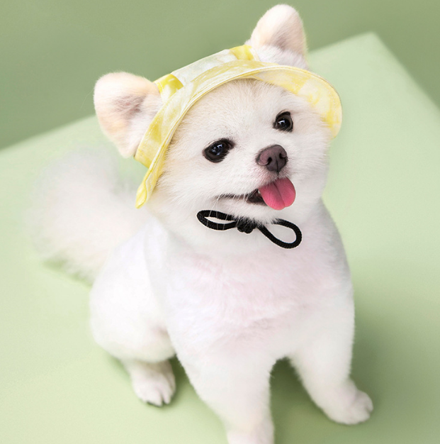 Dog & Cat Tie-Dye Bucket Hat