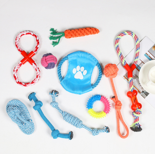 10-Piece Pet Toy Set