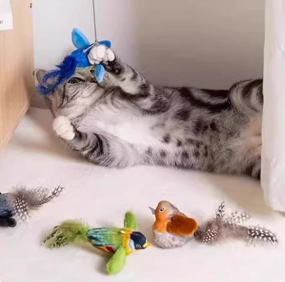 Cat Wand Toy – Realistic Bird Feather Attachments