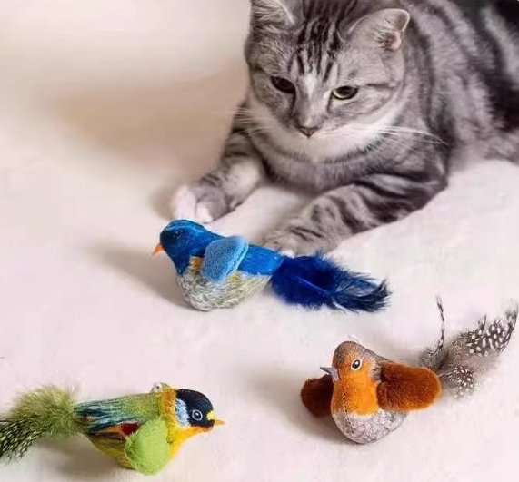 Cat Wand Toy – Realistic Bird Feather Attachments