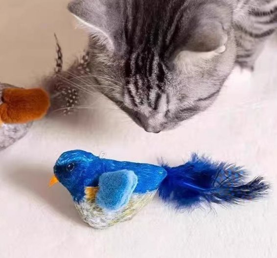 Cat Wand Toy – Realistic Bird Feather Attachments