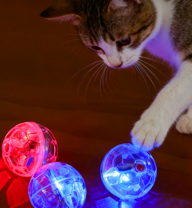 Rechargeable Interactive Pet Toy
